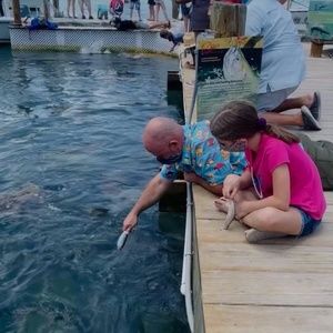 Meet your Posher, Austin